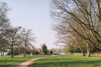 CPAT PHOTO 1324-00