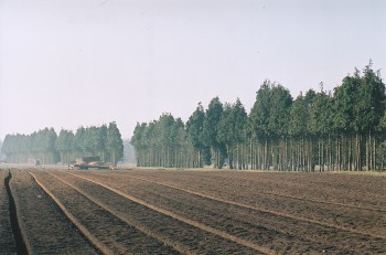 CPAT PHOTO 1328-02