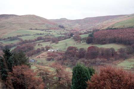 PWLLPEIRAN