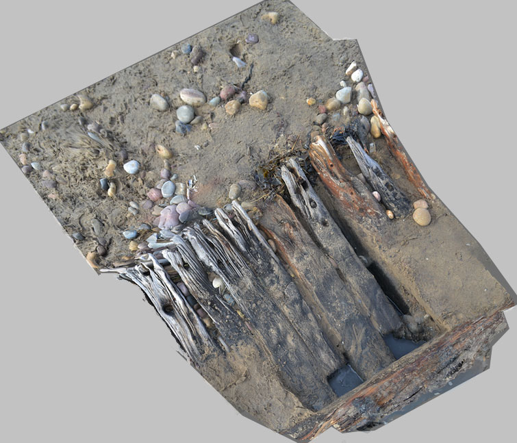 3D Models