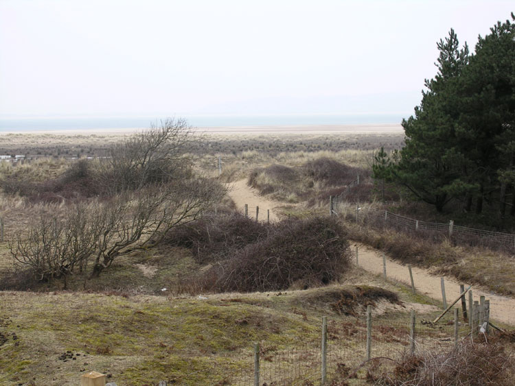 Photo of Whiteford Burrows