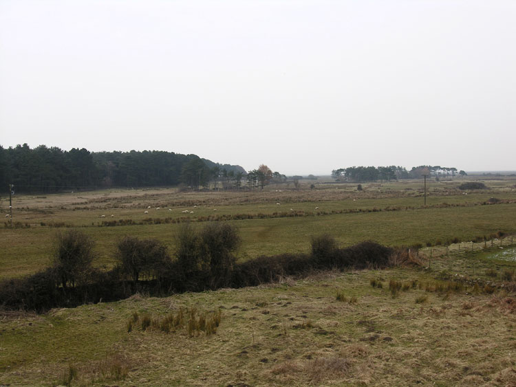 Photo of Cwm Ivy Marsh