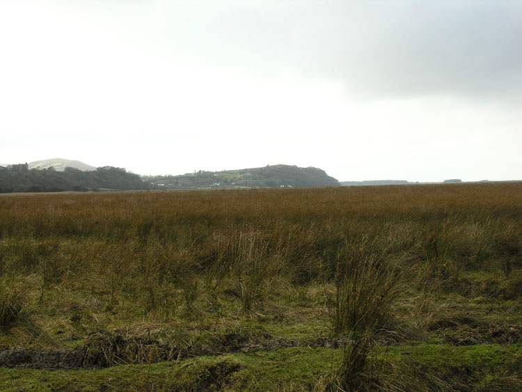 Photo of Landimore and Llanrhidian Reclaimed Land