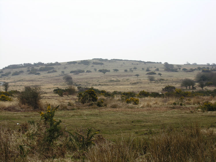 Photo of Ryer's Down