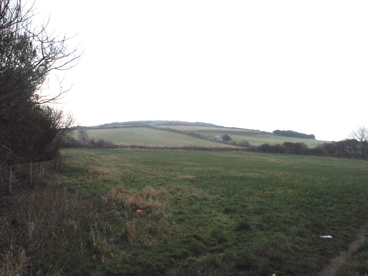 Photo of Thistleboon Fieldscape