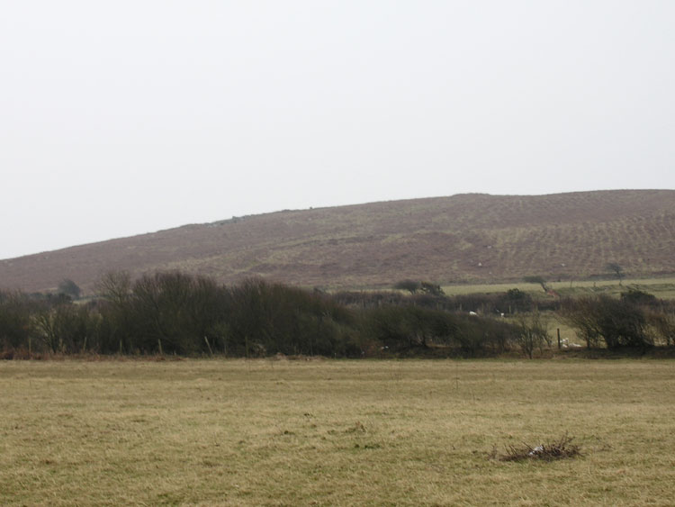Photo of Hardings Down