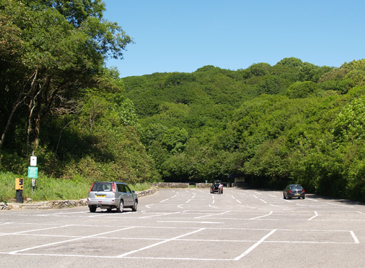 Photo of Bishop's Wood