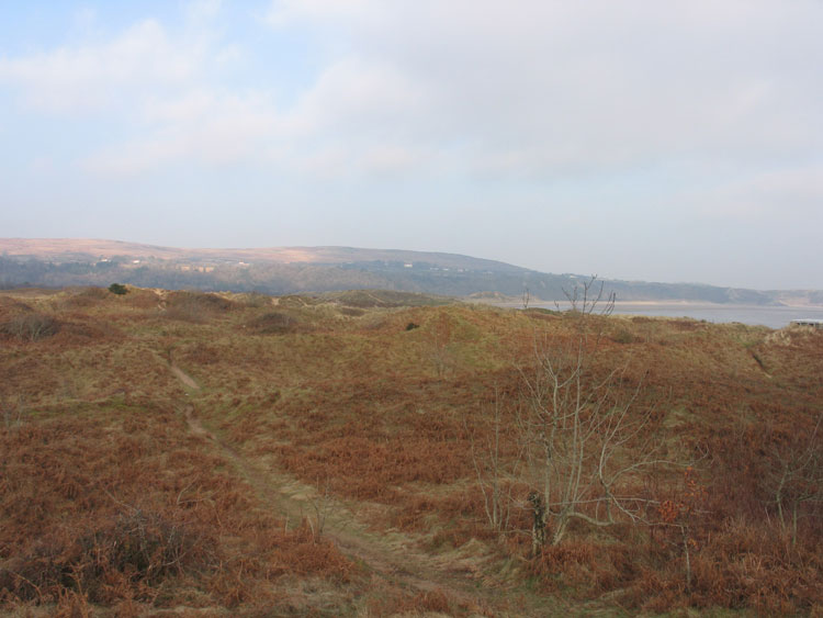 Photo of Oxwich and Nicholaston Burrows