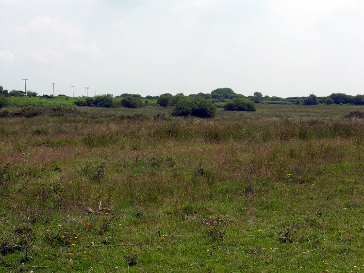 Photo of Mynydd-bach-y-Cocs