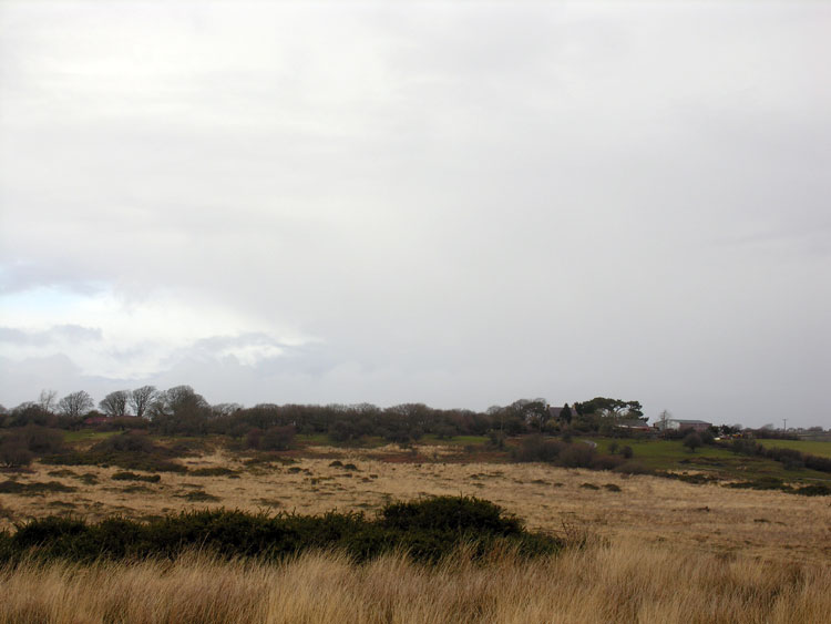 Photo of Pengwern Common