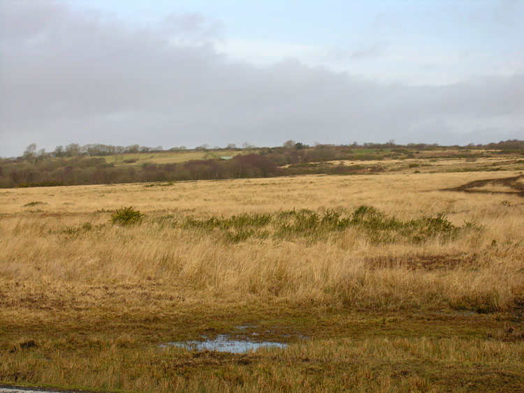 Photo of Fairwood Common