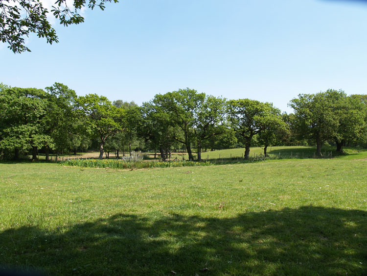 Photo of Hen Barc