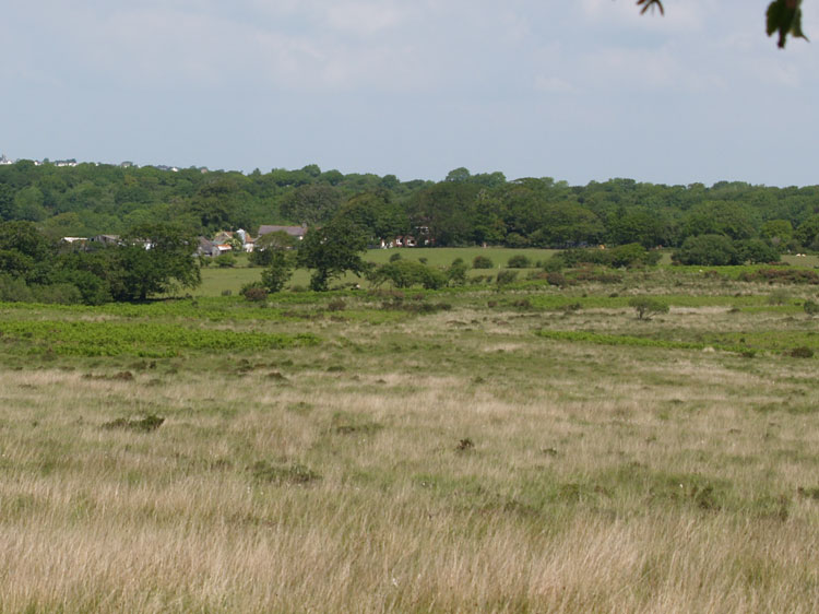 Photo of Wernllath