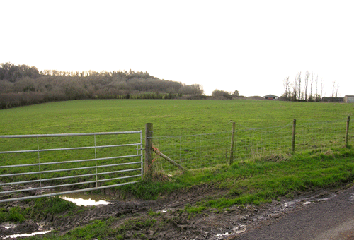 View across pasture land showing the agricultural nature of HLCA008 with Garn Llwyd in background