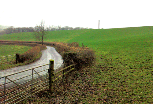 View across pasture land showing the agricultural nature of HLCA012