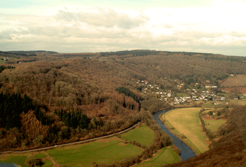'View across Cuckoo Wood showing small-scale encroachment to the right of the woodland