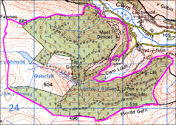 Waen Llestri, Llangynog, Powys (HLCA 1014)