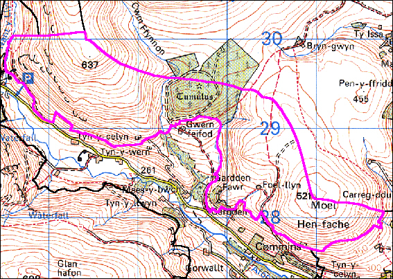 Cwm Ffynnon, Llanrhaeadr-ym-mochnant, Powys (HLCA 1022)