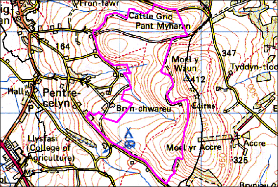 Fron-heulog, Llanfair Dyffryn Clwyd, Denbighshire (HLCA 1030)