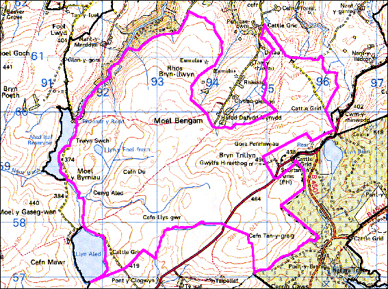 Mynydd Hiraethog: Moel Bengam
(HLCA 1107)