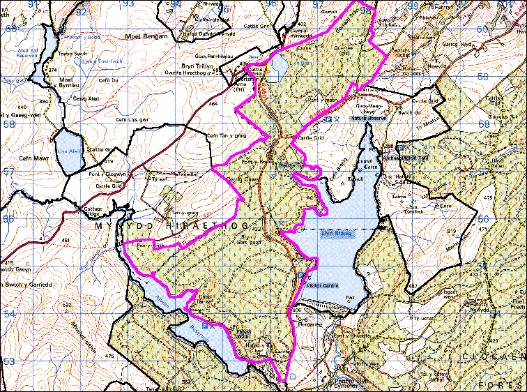 Mynydd Hiraethog: Bryn y Gors-goch
(HLCA 1110)