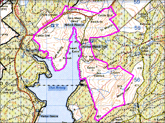 Mynydd Hiraethog: Maen-llwyd
(HLCA 1113)