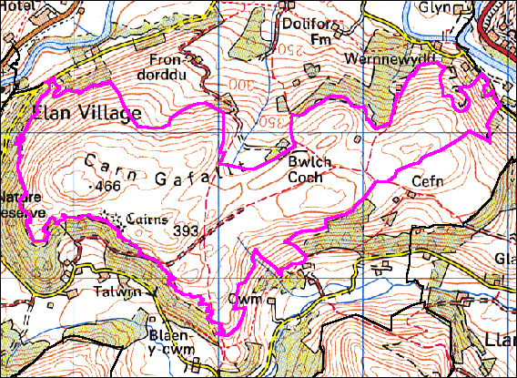 Carn Gafallt (HCLA 1138)