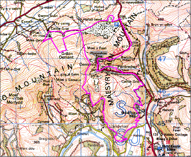 The Vale of Llangollen: Maesyrychen
(HLCA 1145)