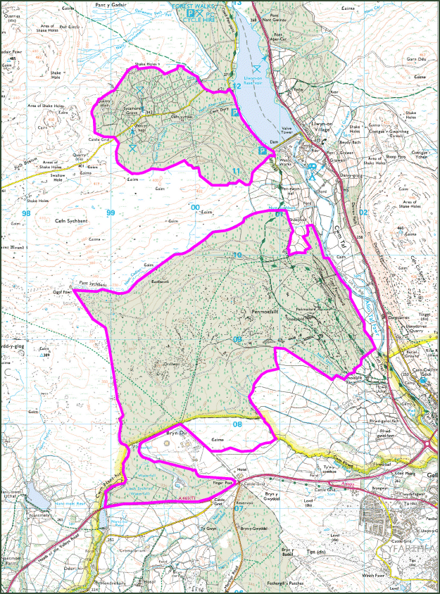 East Fforest Fawr and Mynydd-y-glôg: Coed Penmailard - Coed Cefn-y-maes
(HLCA 1203)