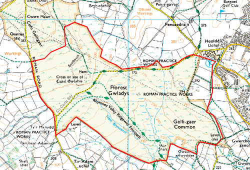 HLCA 002 Capel Gwladys Open Common