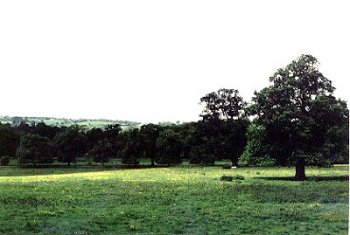 Large dispersed farms and mills in landscape of medium to large-sized fields of low-lying but well drained pasture between the Afon Clwyd and the Dwr Iâl stream on the southern outskirts of Ruthin.