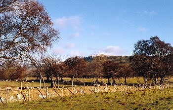 Ffostyll
Gwernyfed and Talgarth, Powys
(HLCA 1093)