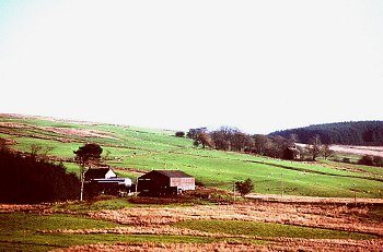 Scattered post-medieval farmstead encroachments on sheltered south-facing slopes towards the southern edge of moor, some drained and improved land and small conifer plantations.