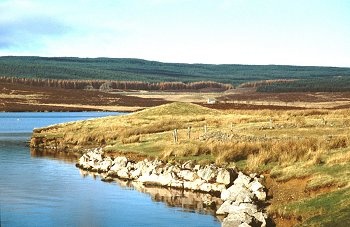 Modern coniferous forest plantation overlying relict medieval and later enclosed landscape of scattered farmsteads with associated field systems and stone quarrying.