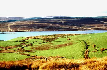 Heather moorland with some improved grassland, partly divided into large polygonal enclosures of 18th/19th century date, Bronze Age funerary and ritual landscape, enclosed medieval sheepcotes, medieval and later hafodydd and farmsteads, archaeological trail.