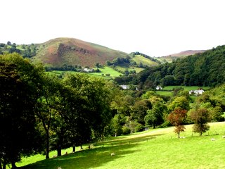 Isolated tract of the Dee valley west of Llangollen, with lowland and upland margin farms and fieldscapes of medieval and later origin; Victorian country houses, parkland and gardens, estate farms and cottages; small nucleated settlements partly associated with former slate mining.