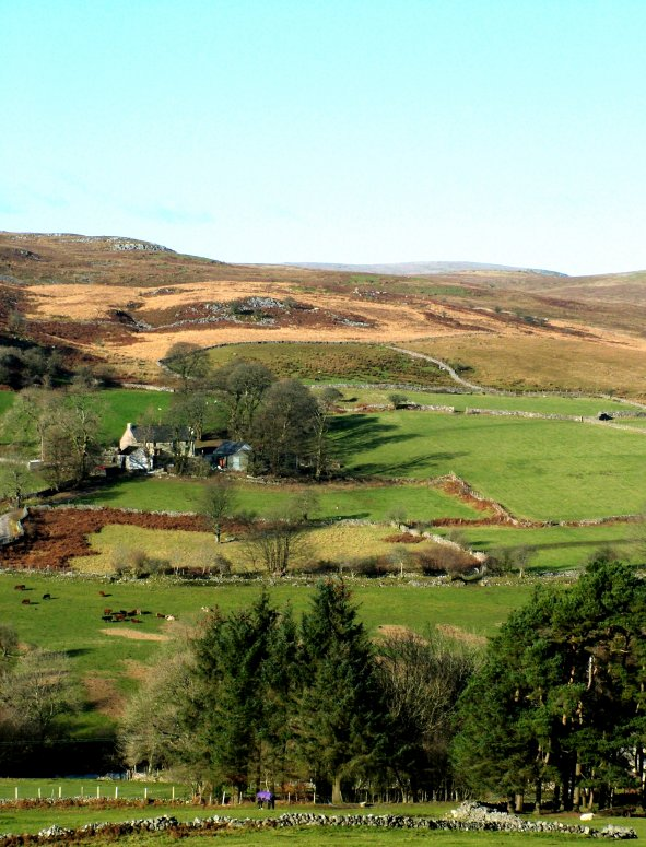 Dwyrain Fforest Fawr a Mynydd-y-glôg