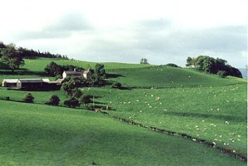 Irregular landscape of small farms on wooded slopes and valleys, just below the moorland, including part of former medieval park.