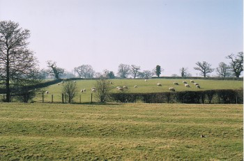 Predominantly agricultural landscape of scattered farms of late medieval origin associated with ridge and furrow cultivation and irregular field patterns with 'green' settlement at Tallarn Green.