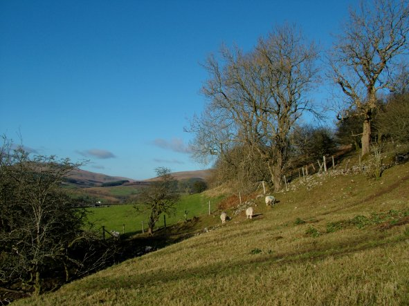 Garreg-fawr (HLCA 1200)