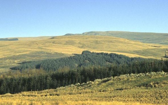 East Fforest Fawr and Mynydd-y-glôg: Coed Penmailard – Coed Cefn-y-maes
Hirwaun community, Rhondda Cynon Taff
(HLCA 1203)