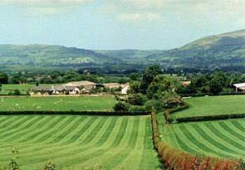 Landscape of scattered large farms and large rectangular fields of pasture on sloping ground, either side of the Afon Ystrad, overlooking the western side of the vale, just to the south of Denbigh.