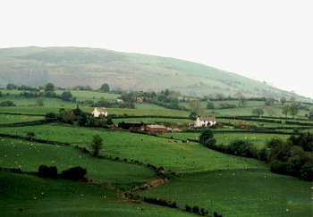 Closely-spaced, small and medium-sized farms and fields, representing piecemeal expansion and enclosure of lower hill-slopes between the early 16th and 18th centuries.