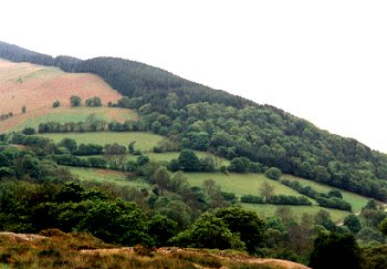 Forestry plantation on upper valley edge and upland to south and west of Cwm Pennant, with mining reservoir and leats