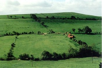 19th-century enclosure of upland commons on western slopes of the Clwydian hills with roadside cottage encroachments