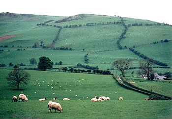 Early post-medieval to 18th/19th-century piecemeal enclosure of isolated upland area on southern edge of the Berwyns.
