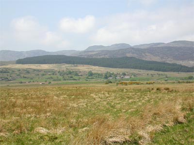 20th-century forestry