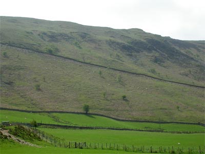 Stone walls, sheepfolds, mining levels