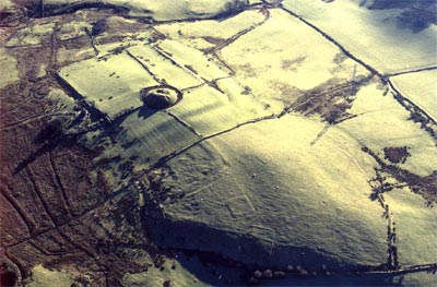 Relict Roman archaeology