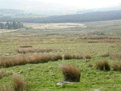 Prehistoric settlement (some buried), bog